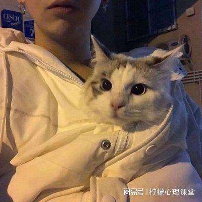 星爷西游游戏下载
